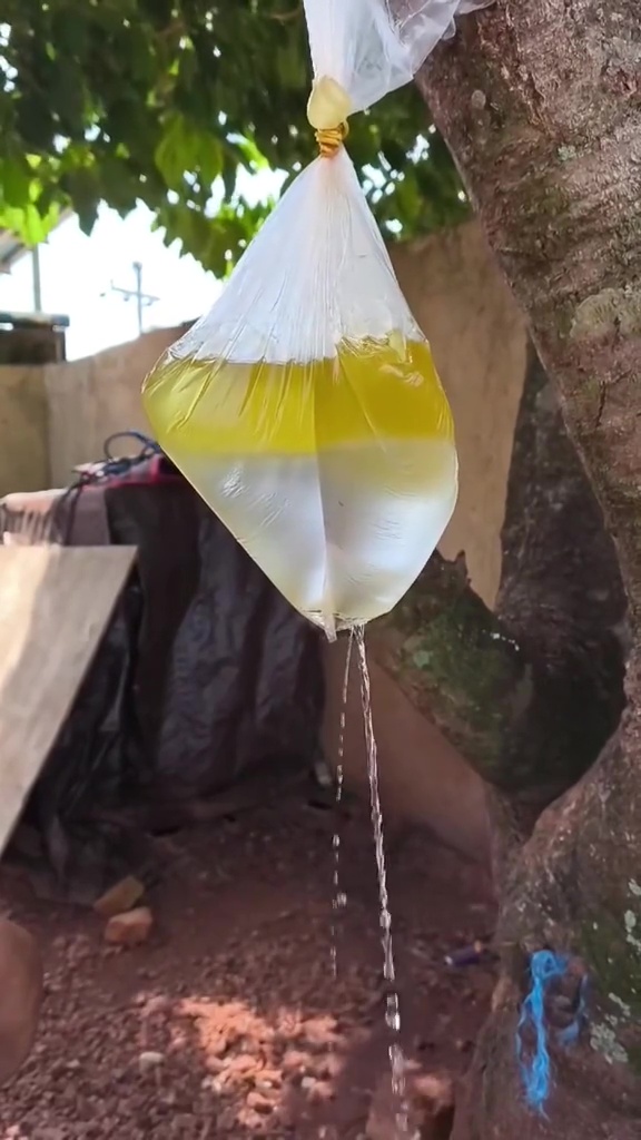 Minyak goreng tercampur air, jangan langsung dibuang! Begini trik mengatasinya biar bisa dipakai lagi