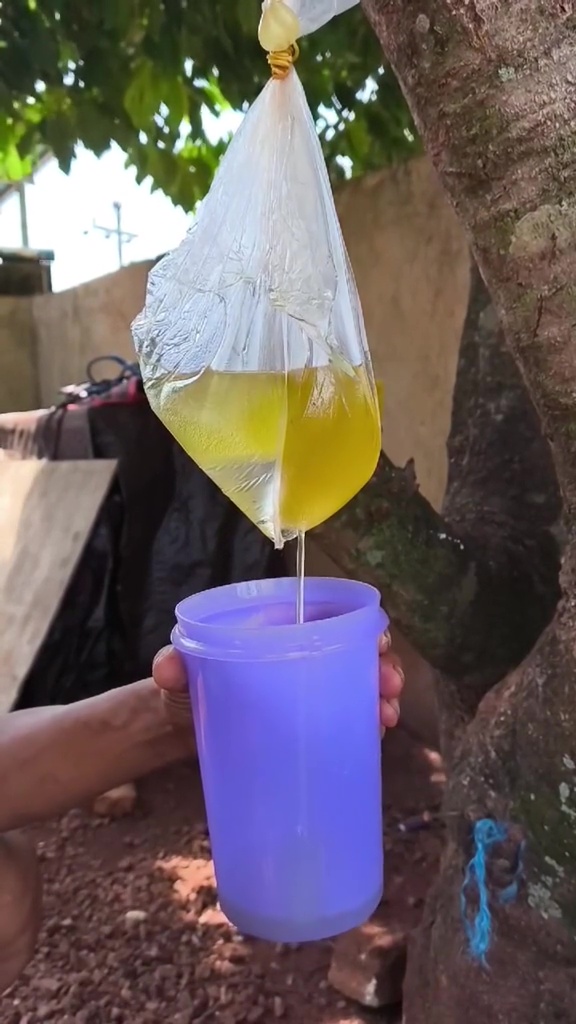 Minyak goreng tercampur air, jangan langsung dibuang! Begini trik mengatasinya biar bisa dipakai lagi