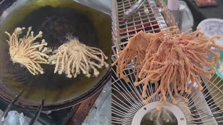 Tanpa adonan basah dan baking soda, ini rahasia jamur goreng lebih renyah tahan lama dan tak berminyak