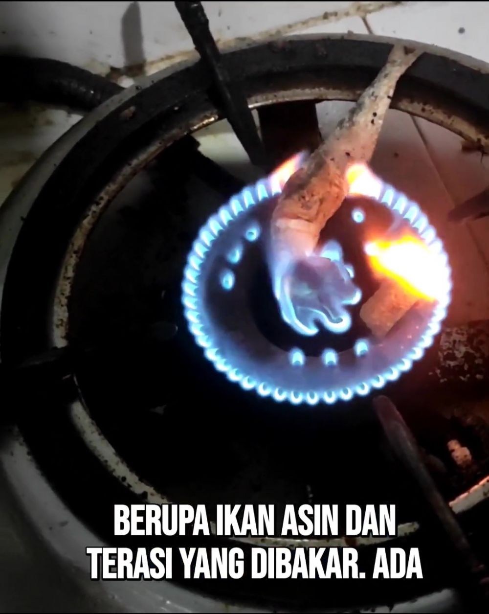 Ikan asin dan terasi jadi rahasia tanaman anggur berbuah lebat, begini cara efektif menggunakannya