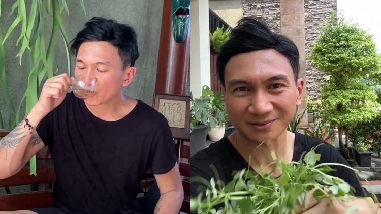 Anji bikin minuman sehat sirih cina yang sering dikira rumput liar, ternyata ini khasiatnya