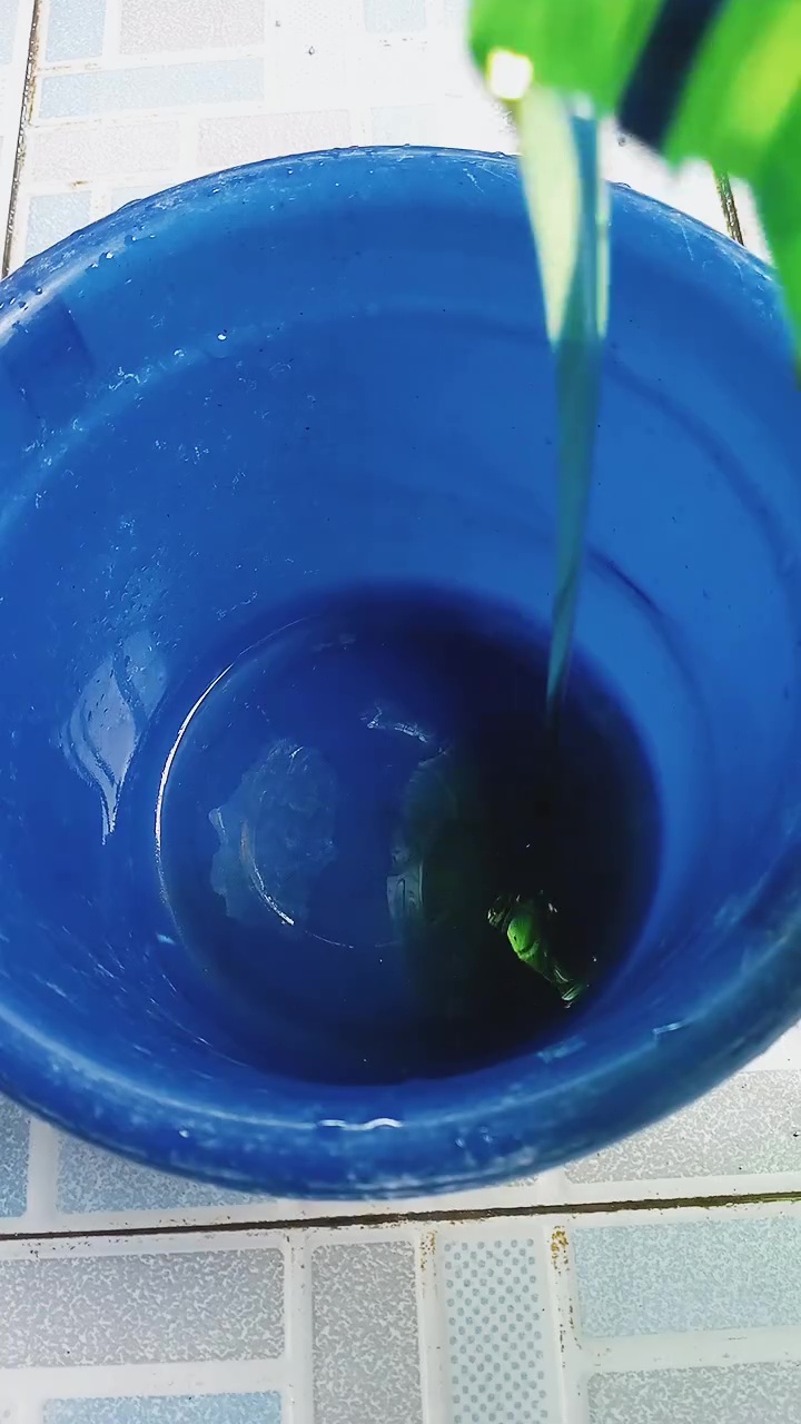 Punya pintu kamar mandi dekil tak perlu langsung diganti, cukup bersihkan dengan 1 bahan dapur ini