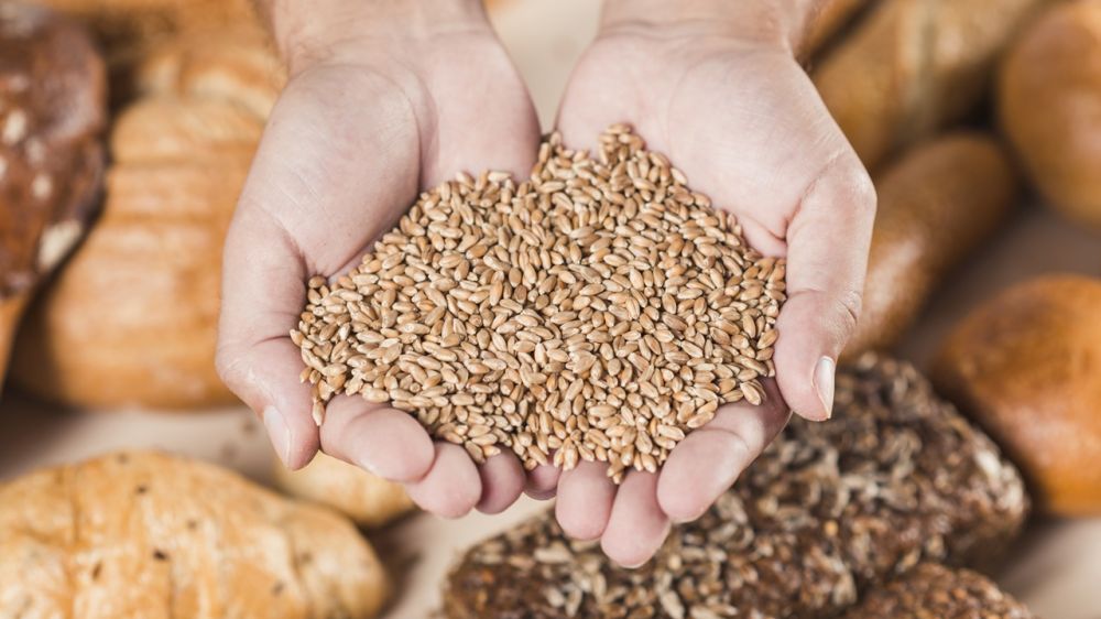 Apa itu gluten? Pahami pengertian, fungsi, dampak, dan faktanya bagi kesehatan