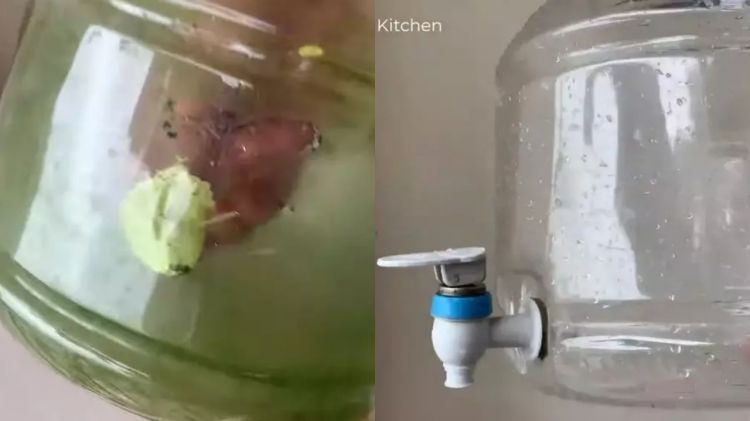 Dispenser air berlumut jijik? Cuma modal jeruk nipis & baking soda, auto bersih siap dipakai kembali