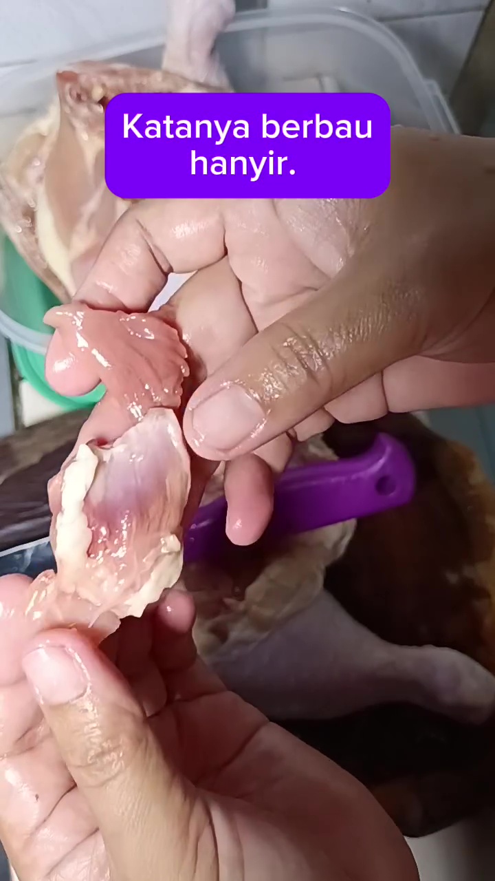 Jangan cuma bersihkan darahnya, bagian ini juga harus dibuang jika ingin daging ayam bebas bau amis