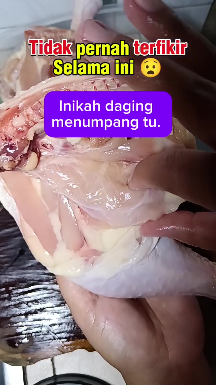 Jangan cuma bersihkan darahnya, bagian ini juga harus dibuang jika ingin daging ayam bebas bau amis