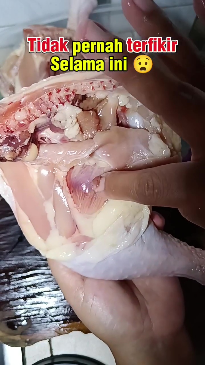 Jangan cuma bersihkan darahnya, bagian ini juga harus dibuang jika ingin daging ayam bebas bau amis