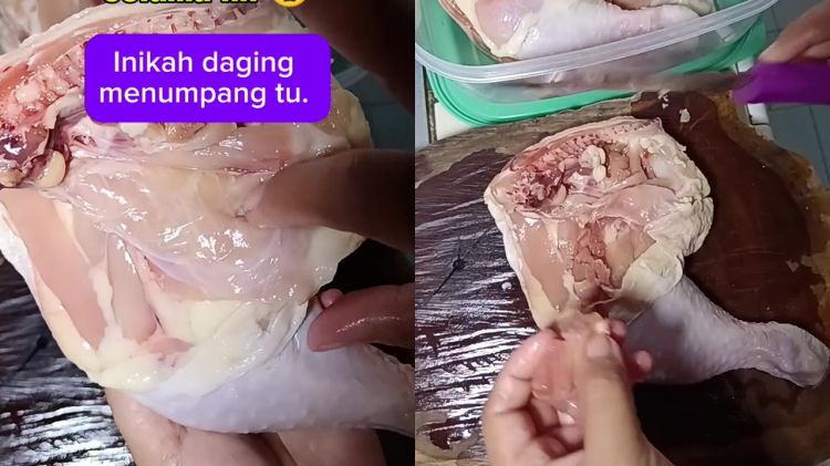 Jangan cuma bersihkan darahnya, bagian ini juga harus dibuang jika ingin daging ayam bebas bau amis