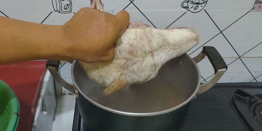 Kepala kambing auto bersih! Trik simple hilangin bulu tanpa dibakar, anti bau prengus