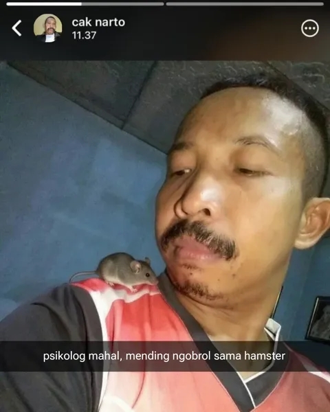 9 Status lucu WhatsApp terbaru ini nggak cuma bikin ngakak tapi juga geleng kepala, makin absrud