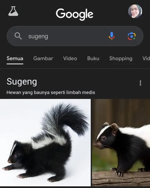 11 Gambar lucu hasil pencarian di Google ini absurd abis, yang diketik apa yang keluar beda lagi