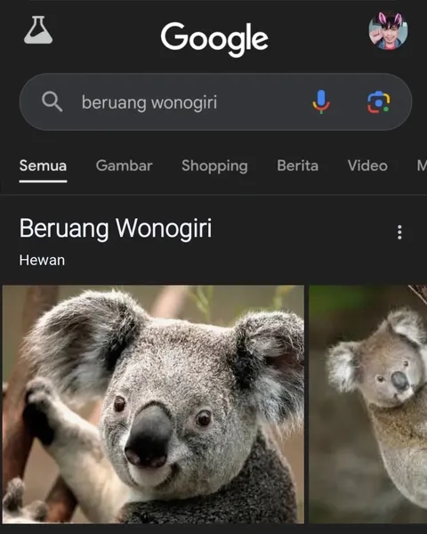 11 Gambar lucu hasil pencarian di Google ini absurd abis, yang diketik apa yang keluar beda lagi