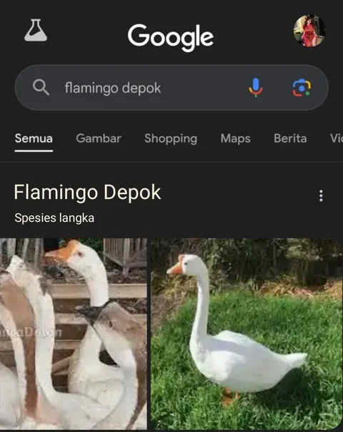 11 Gambar lucu hasil pencarian di Google ini absurd abis, yang diketik apa yang keluar beda lagi