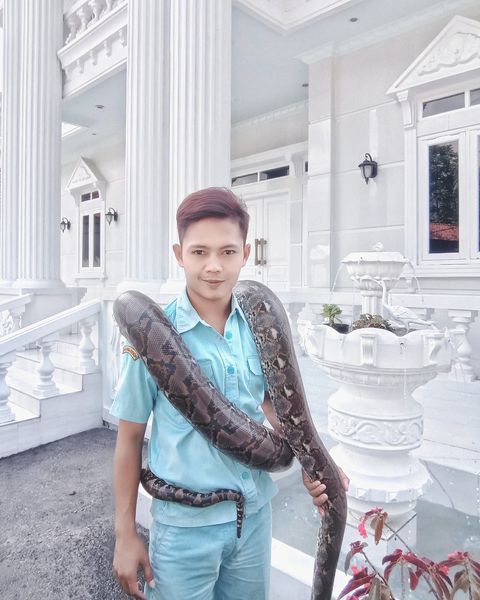 Penampakan ular nongkrong di depan pagar rumah mewah di Garut ini bikin gagal fokus, disangka patung