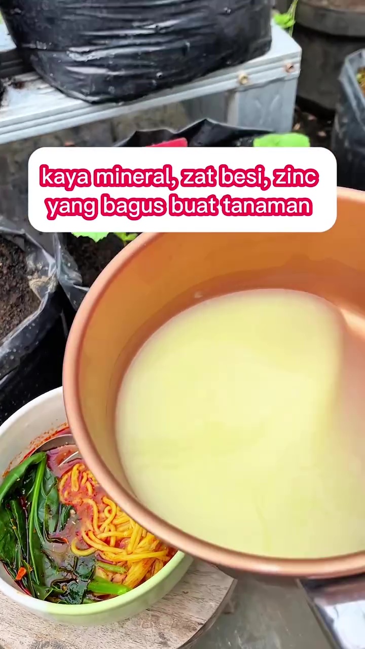 Tak biasa! Pria ini gunakan air rebusan mi untuk pupuk alami tanaman, ternyata begini manfaatnya