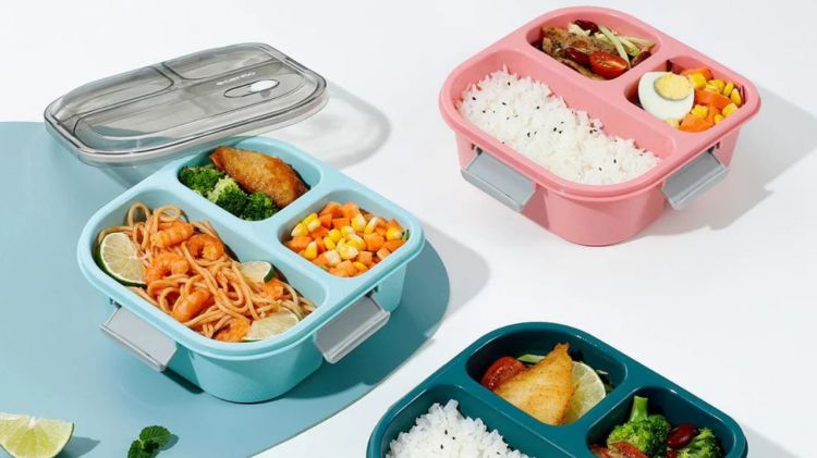 9 Kotak makan Ecentio terbaik di bawah Rp100 ribu, desain simpel dan anti bocor