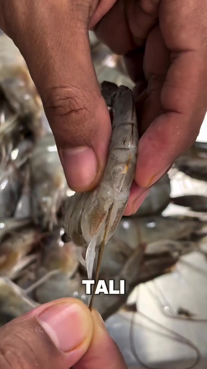 Wajib tahu! Ini cara baru menyimpan udang supaya tetap segar, antiamis, dan warnanya tak menghitam