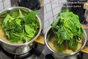 Lebih ampuh dari asam jawa, cukup pakai 1 bahan dapur ini untuk rebus daun pepaya biar tak pahit