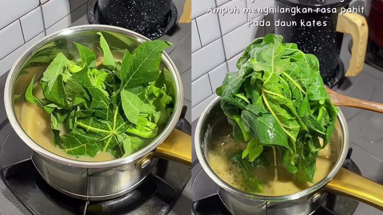 Lebih ampuh dari asam jawa, cukup pakai 1 bahan dapur ini untuk rebus daun pepaya biar tak pahit