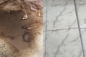 Lantai rumah kotor karena kerak menumpuk? Coba pakai racikan 2 bahan dapur ini untuk membersihkannya