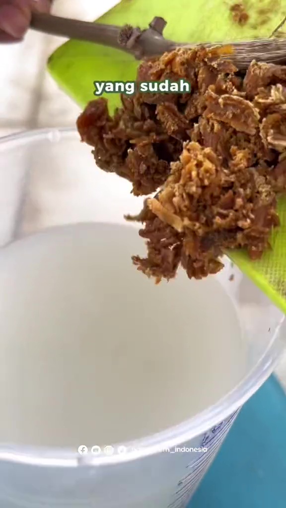 Modal Rp5.000, pohon jeruk di rumah auto berbuah lebat pakai pupuk dari 3 bahan dapur ini