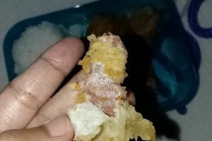 Viral ada plester bekas dalam lauk tahu menu MBG di SD Sukabumi, begini penampakannya