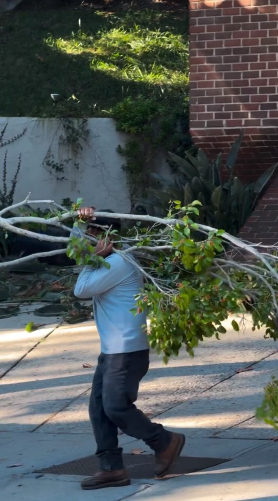 Gilang Juragan99 habiskan Rp38 juta cuma buat bersihin taman rumahnya di Los Angeles, ini 9 potretnya