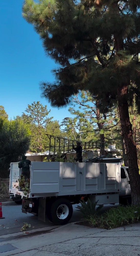 Gilang Juragan99 habiskan Rp38 juta cuma buat bersihin taman rumahnya di Los Angeles, ini 9 potretnya