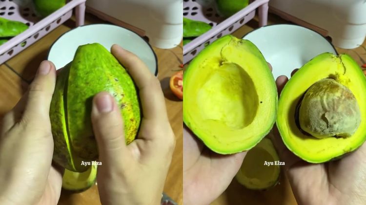 Cara antigagal mematangkan buah alpukat mentah, auto lembut dan manis alami tanpa bikin busuk