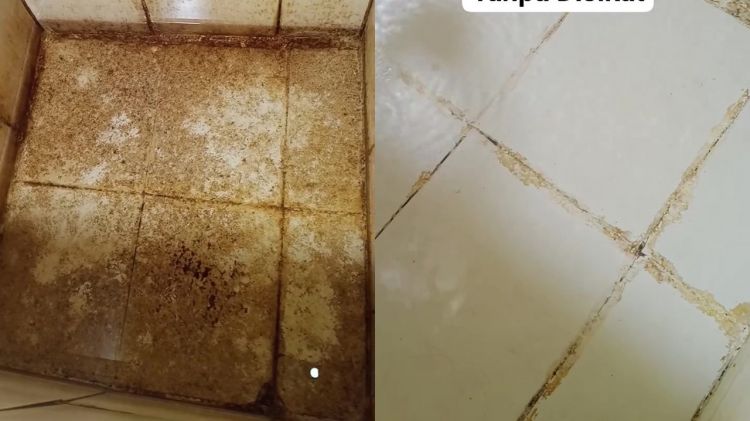 Tanpa repot disikat, bak mandi berkerak bisa bersih lagi pakai sabun cuci piring, begini cara pakainya