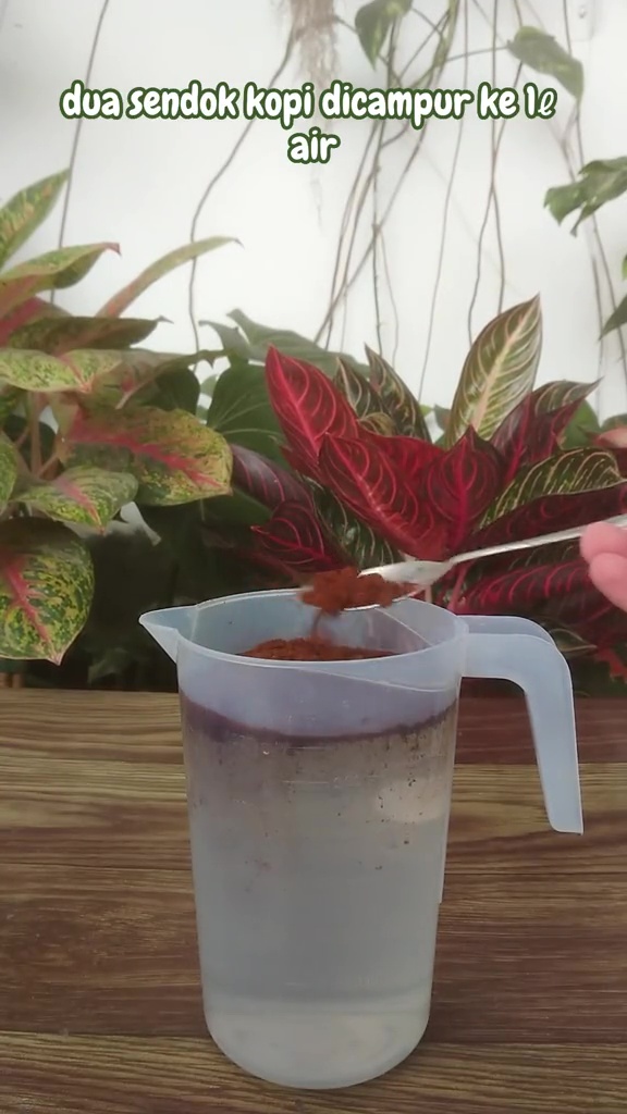 Tak banyak yang tahu, ternyata 2 bahan dapur ini bisa bantu bikin tanaman kering tumbuh subur lagi