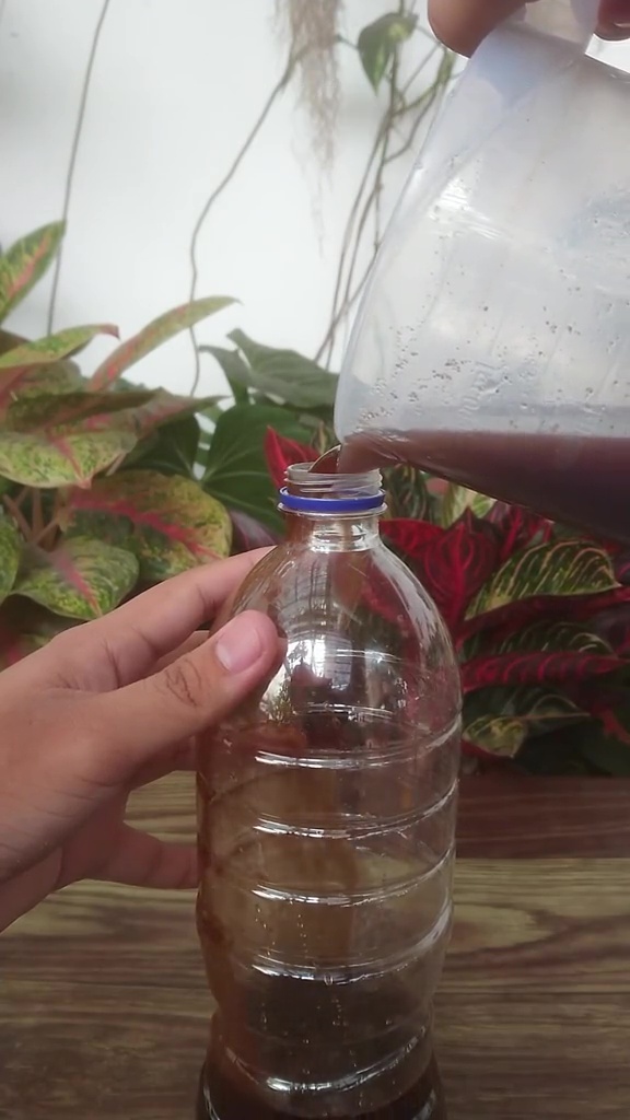 Tak banyak yang tahu, ternyata 2 bahan dapur ini bisa bantu bikin tanaman kering tumbuh subur lagi