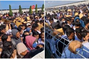 Cari kerja sulit, viral ribuan pencari kerja di Tegal berdesakan demi lamar lowongan di pabrik sepatu