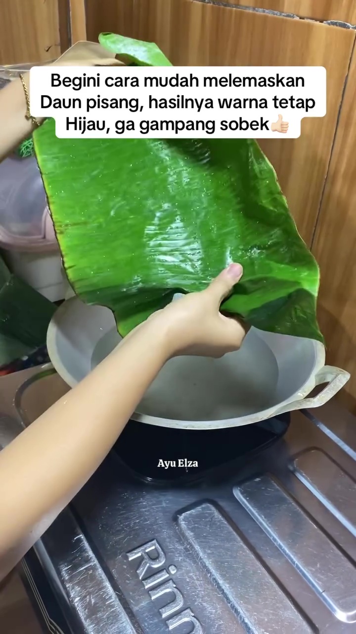 Trik cepat melenturkan daun pisang agar warnanya tetap hijau cerah tanpa perlu dijemur berjam-jam