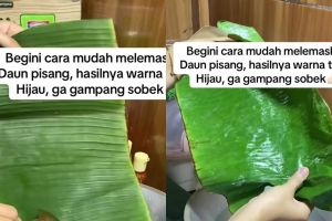 Trik cepat melenturkan daun pisang agar warnanya tetap hijau cerah tanpa perlu dijemur berjam-jam