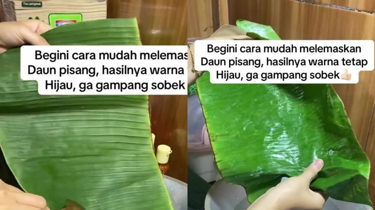 Trik cepat melenturkan daun pisang agar warnanya tetap hijau cerah tanpa perlu dijemur berjam-jam