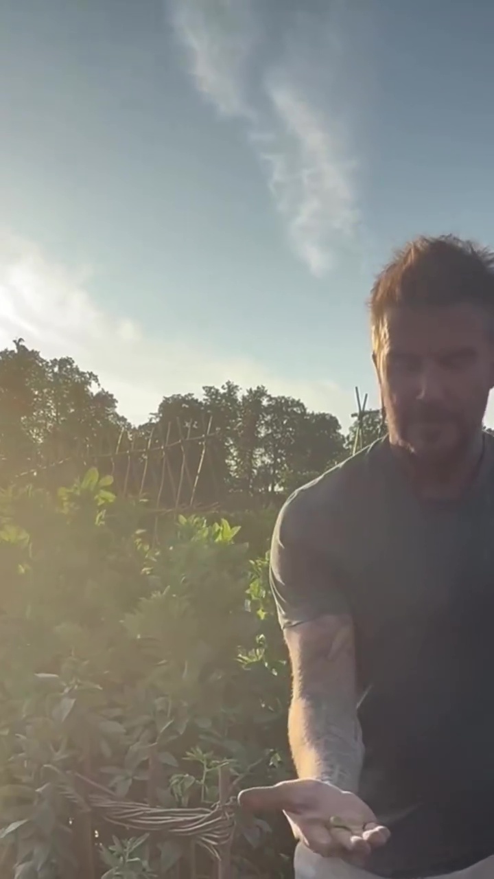 9 Potret David Beckham pamer panen bawang merah, telaten banget jadi petani di lahan sendiri