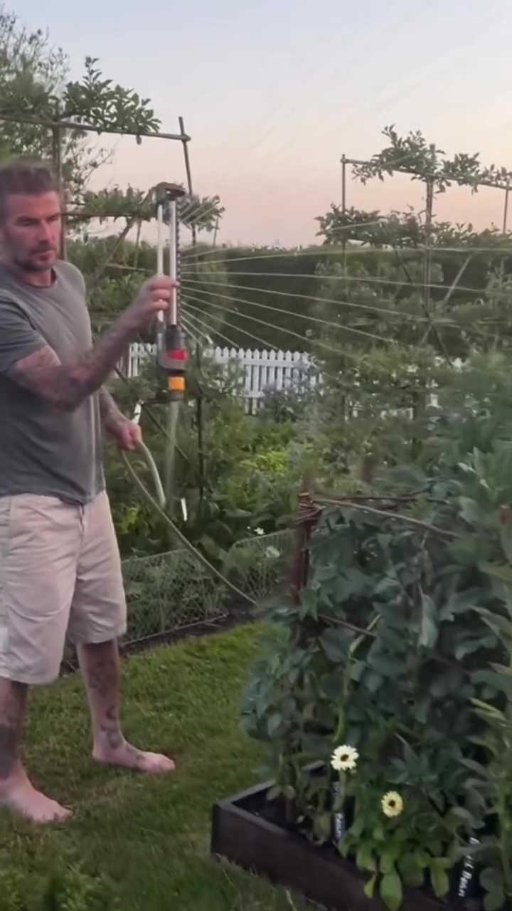 9 Potret David Beckham pamer panen bawang merah, telaten banget jadi petani di lahan sendiri
