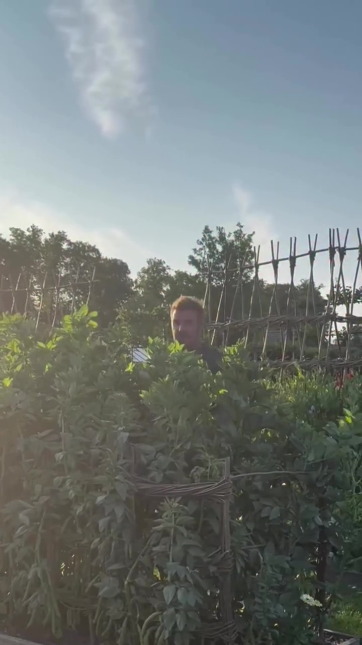 9 Potret David Beckham pamer panen bawang merah, telaten banget jadi petani di lahan sendiri