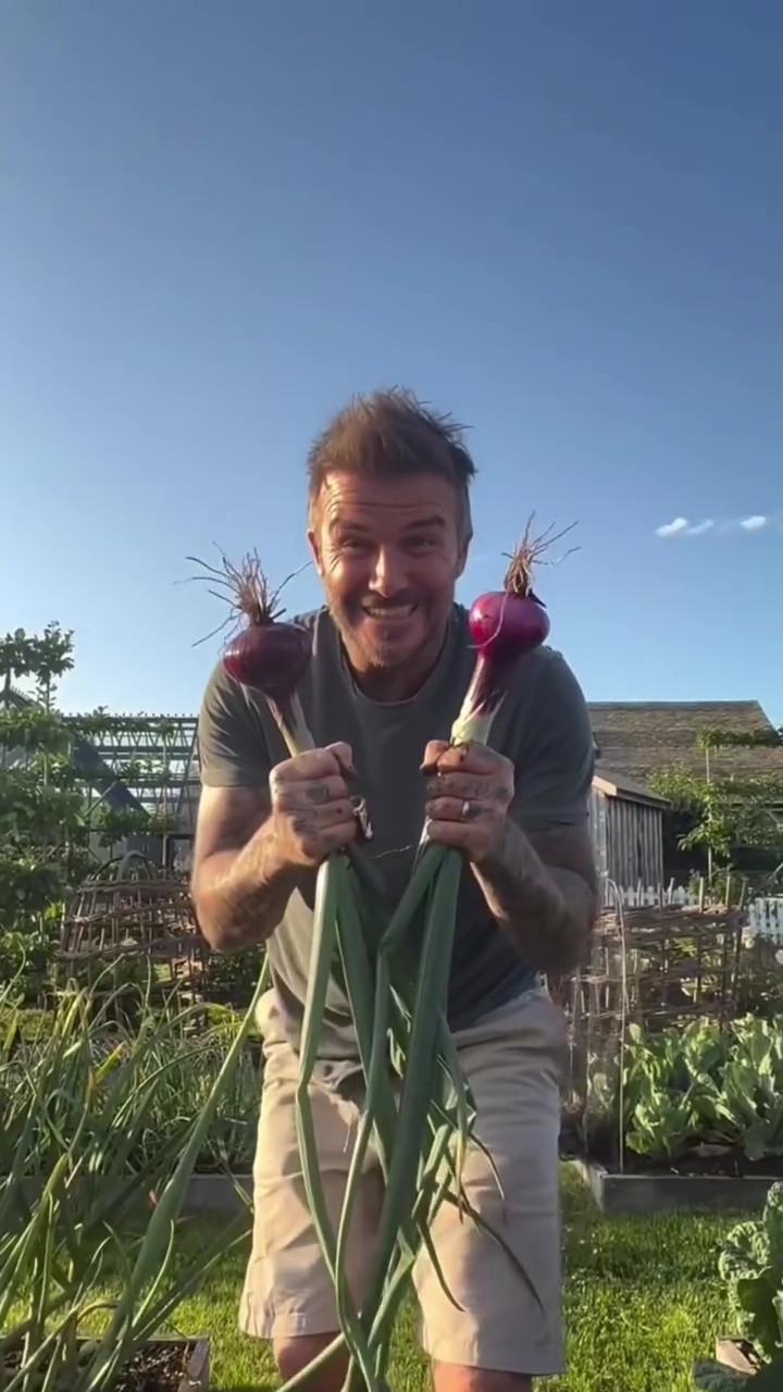 9 Potret David Beckham pamer panen bawang merah, telaten banget jadi petani di lahan sendiri
