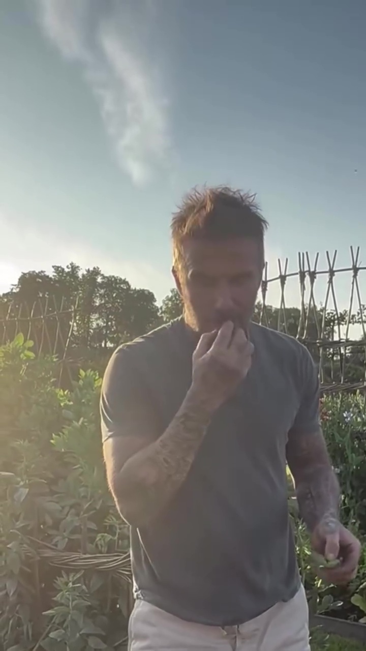 9 Potret David Beckham pamer panen bawang merah, telaten banget jadi petani di lahan sendiri