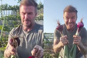 9 Potret David Beckham pamer panen bawang merah, telaten banget jadi petani di lahan sendiri