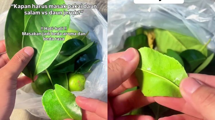 Bingung pakai daun jeruk dan daun salam saat memasak? Perhatikan trik ini biar masakan sedap maksimal