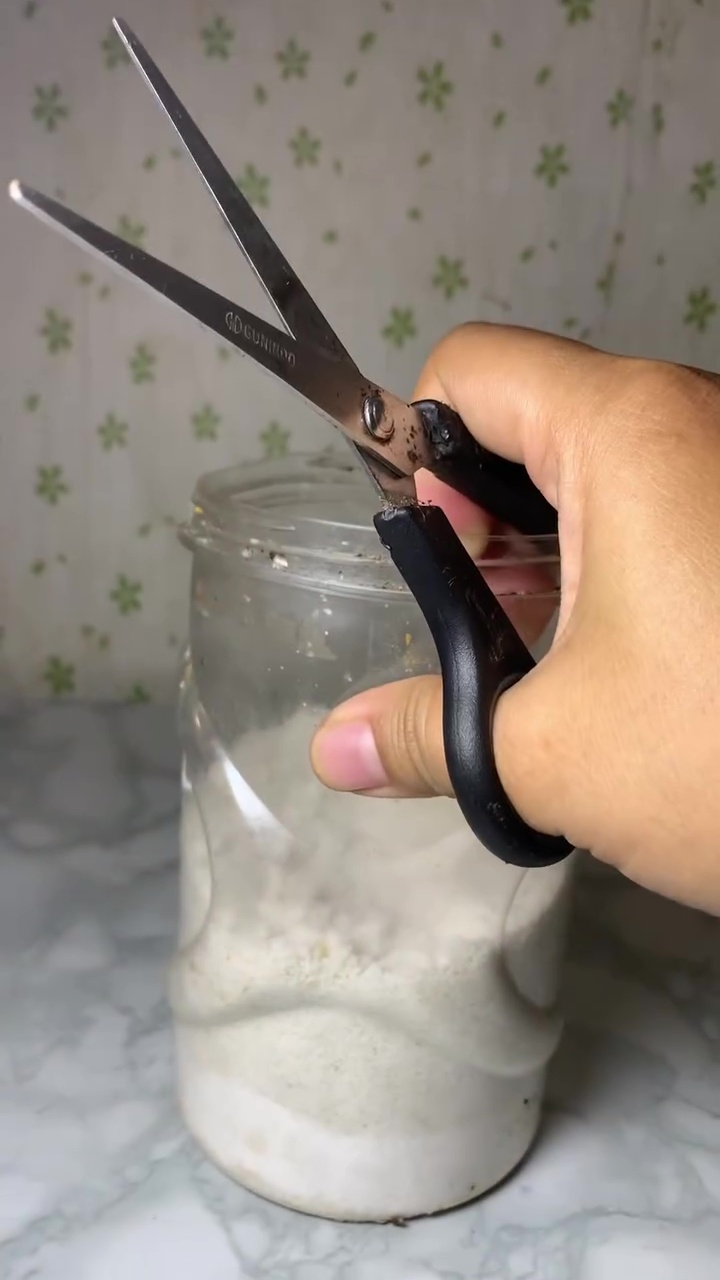 Tak perlu susah payah diasah, ternyata semudah ini menajamkan gunting tumpul bermodal 1 bahan dapur