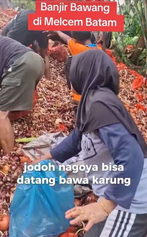 Di tempat lain 1 buah Rp5.000, 7 potret temuan bawang bombay di Batam tumpah ruah diserbu warga