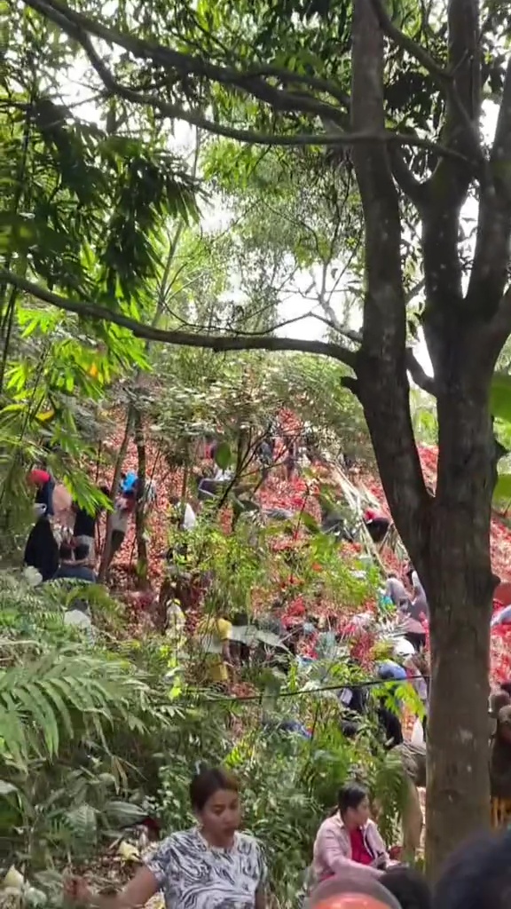 Di tempat lain 1 buah Rp5.000, 7 potret temuan bawang bombay di Batam tumpah ruah diserbu warga