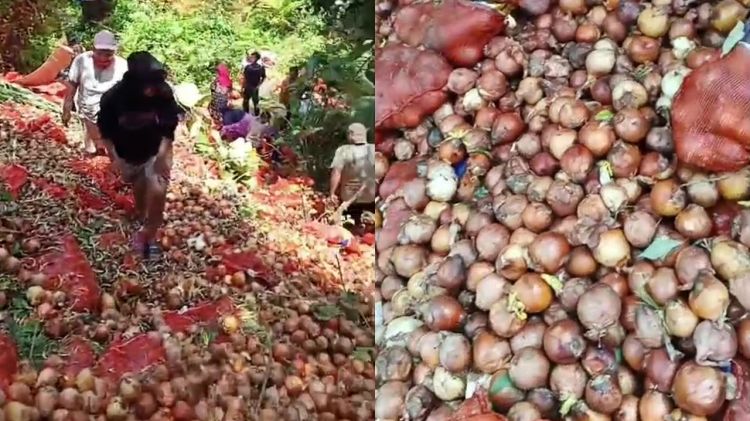 Di tempat lain 1 buah Rp5.000, 7 potret temuan bawang bombay di Batam tumpah ruah diserbu warga