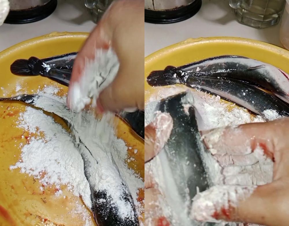 Suka masak lele tapi risih dengan lendirnya? Ini 2 cara ampuh membersihkannya biar kesat dan antiamis