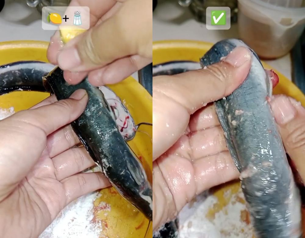 Suka masak lele tapi risih dengan lendirnya? Ini 2 cara ampuh membersihkannya biar kesat dan antiamis