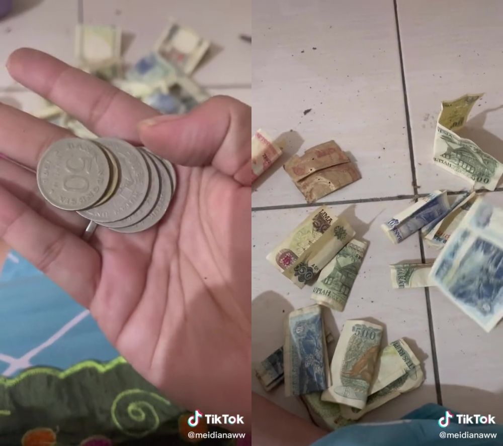 Wanita ini lupa bongkar celengan sejak SD, pas dibuka isinya bikin tercengang, warganet auto salfok